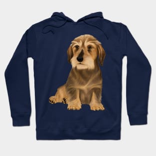 Wirehaired Dachshund sitting dog Hoodie